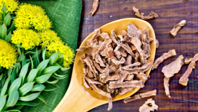 is-a-rhodiola-supplement-all-you-need-to-fight-off-stress?
